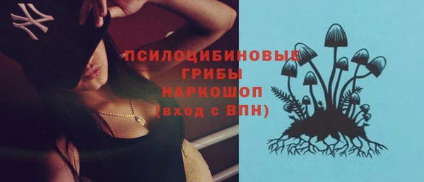 бутират Алексин