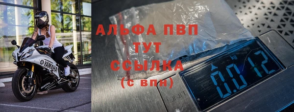 прущие грибы Пересвет
