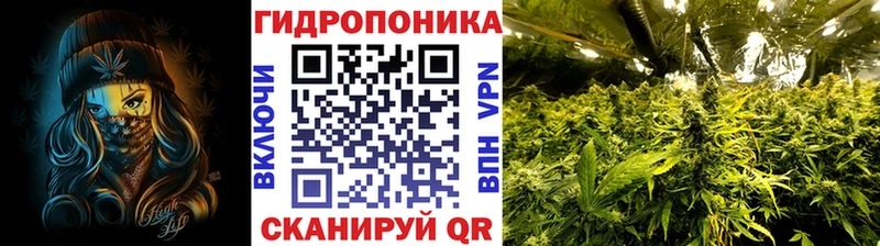 Бошки марихуана Amnesia  где найти наркотики  Бакал 